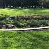 Rain Garden Blend - Image 2