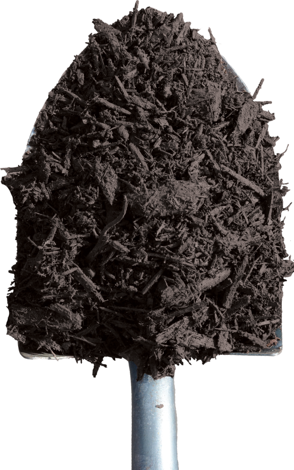 Black Mulch