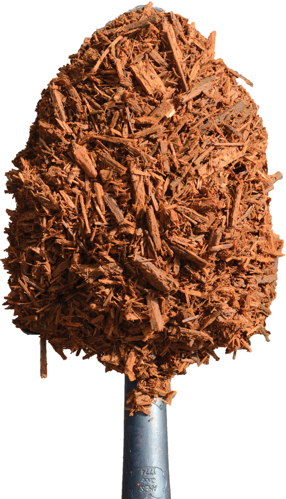 Gold Mulch