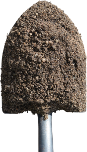 Rain Garden Blend
